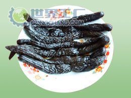 供應(yīng)白糖小黑龍瓜價(jià)格_供應(yīng)白糖小黑龍瓜廠家_世界工廠網(wǎng)產(chǎn)品信息庫(kù)